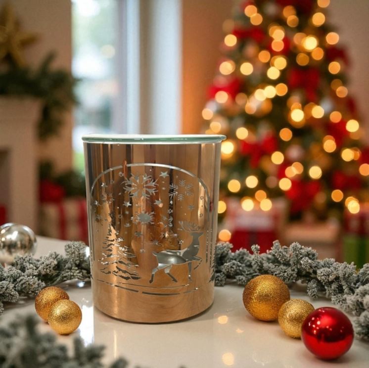 Brûleur Arche de Noël