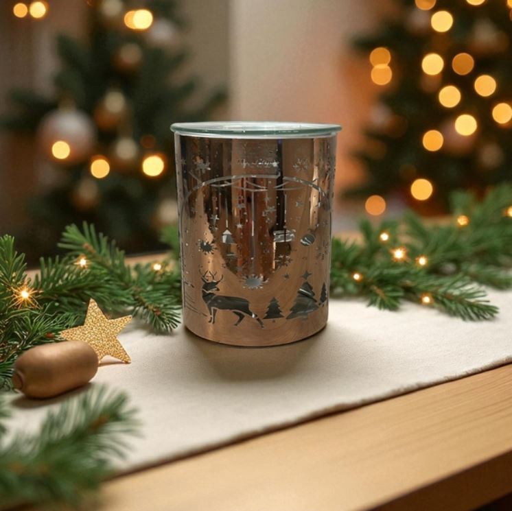 Brûleur Arche de Noël